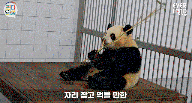 wnGfsf.gif