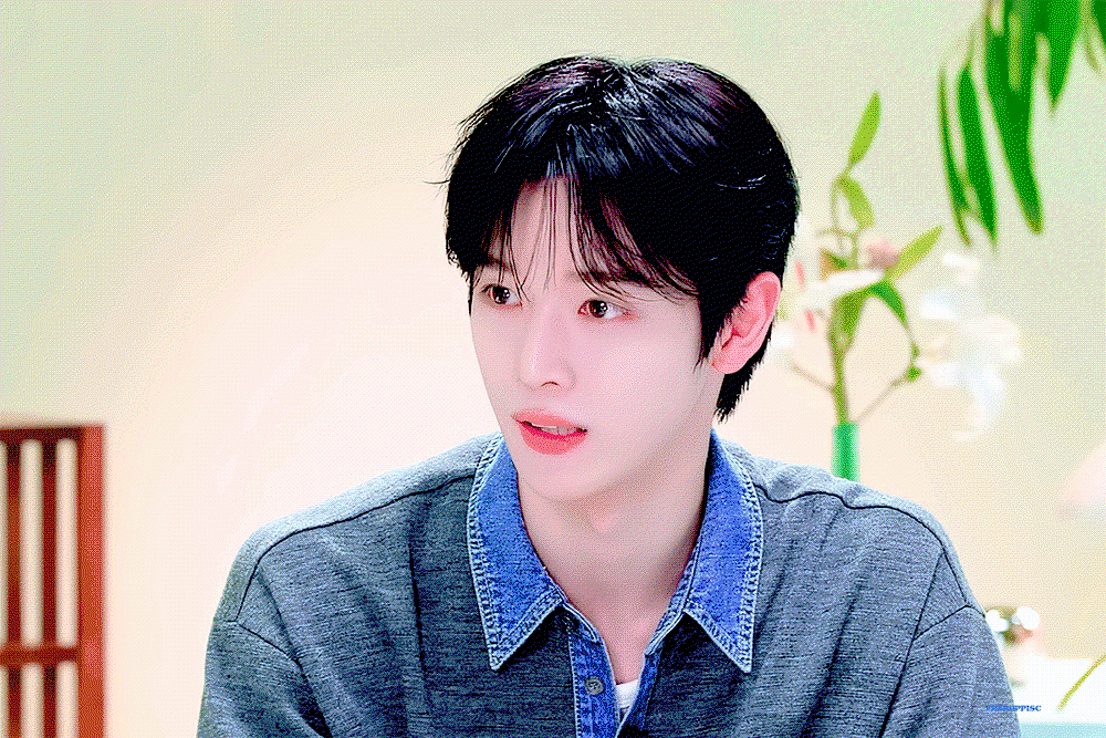 wnfdSd.gif