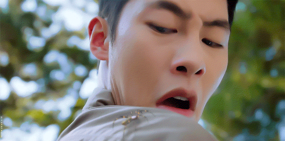 wpeIZw.gif