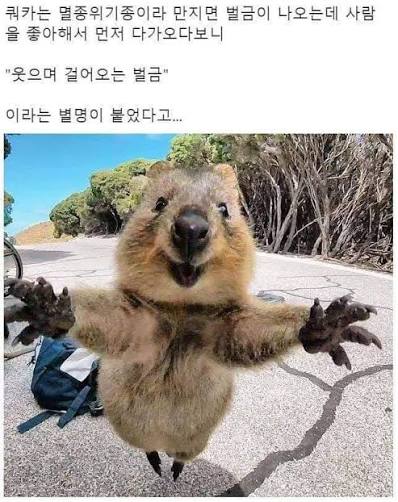 wpuEDR