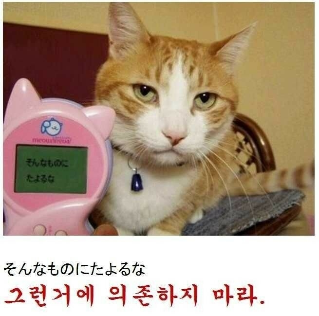 wrFQnO