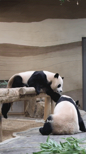 wuFBCB.gif