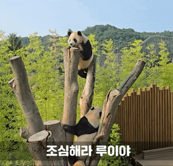 wulNmt.gif