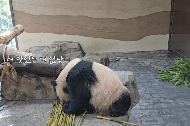 wumqiU.gif