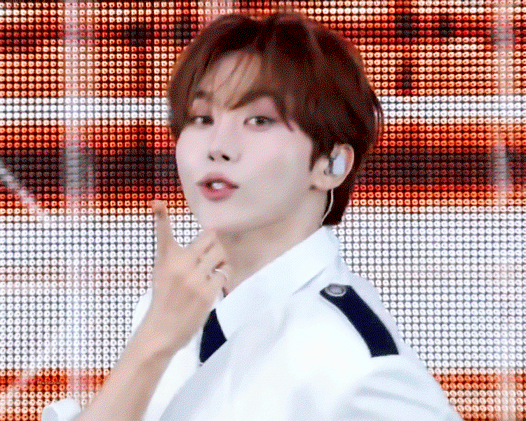 wxmdfl.gif