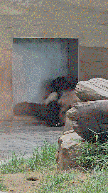 wxmwKJ.gif