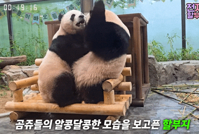 xBNCbu.gif