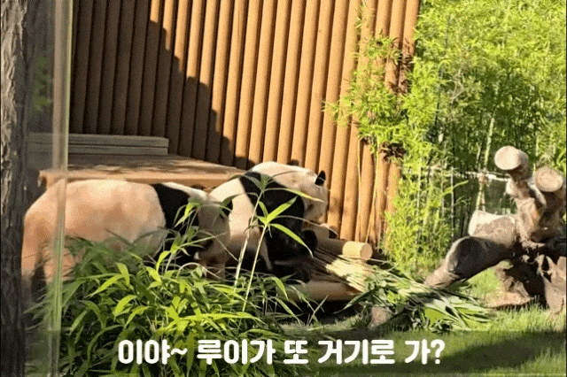 xCysQX.gif