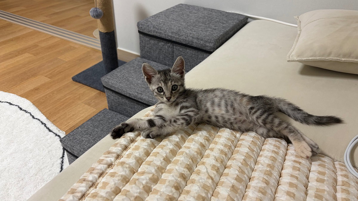 xFNuTt