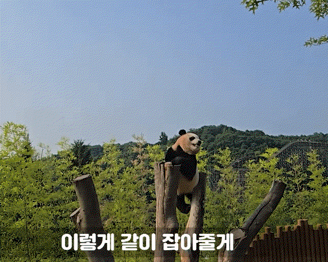 xGejHq.gif
