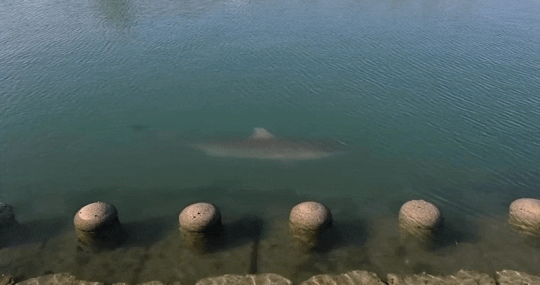 xHQpZY.gif