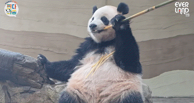 xHdUzK.gif