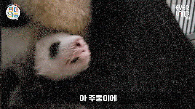 xLCihu.gif