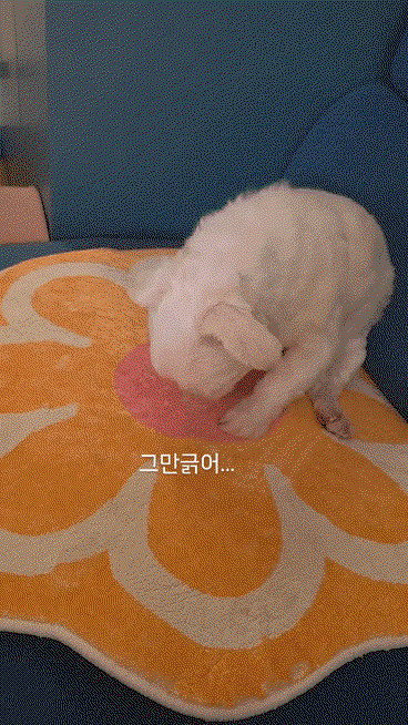 xMbWOD.gif