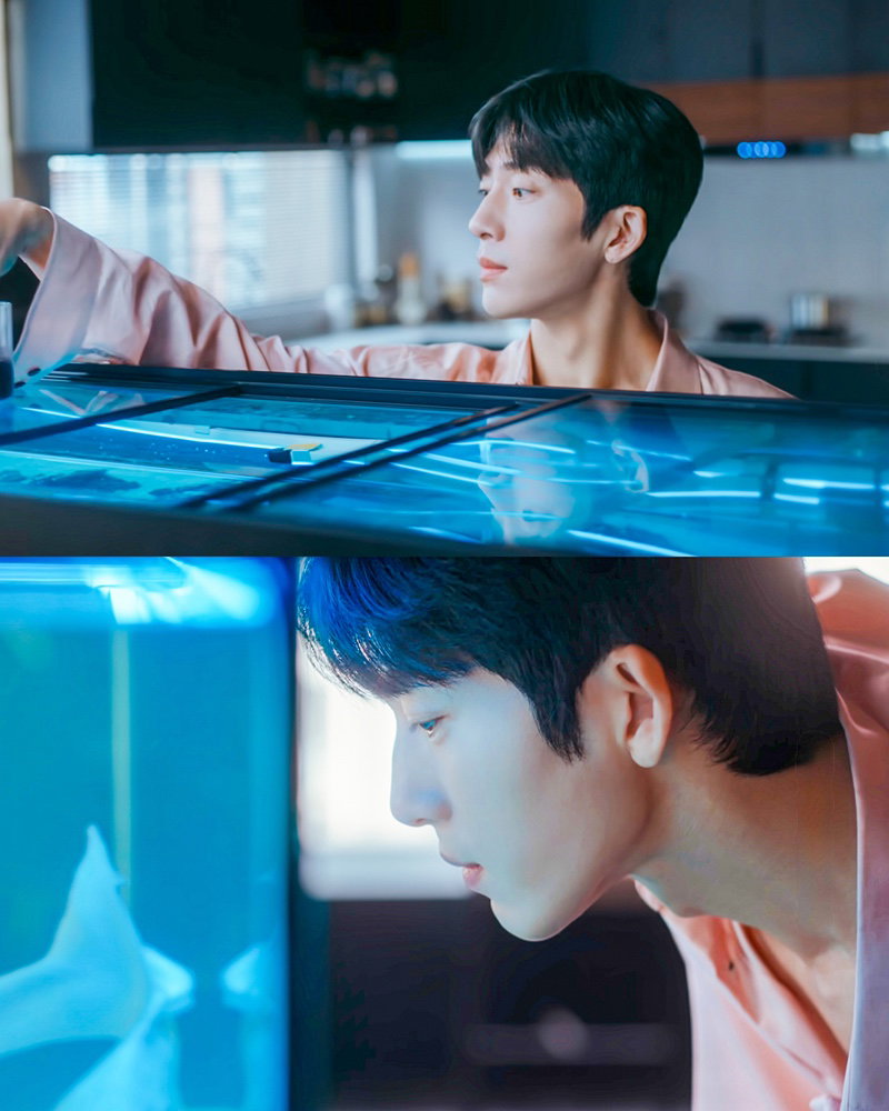 xUQIPV
