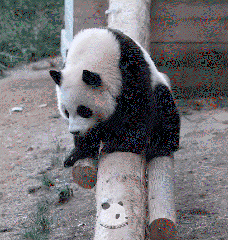 xWuyIt.gif