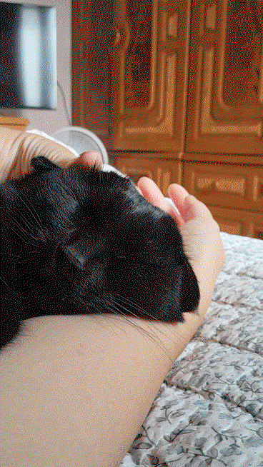 xYdlsP.gif
