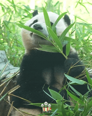 xZKRSl.gif