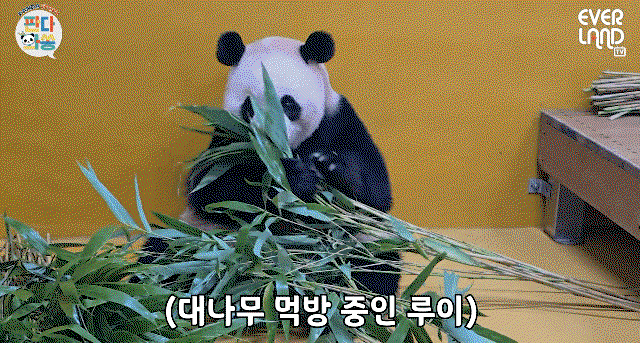 xZxUig.gif