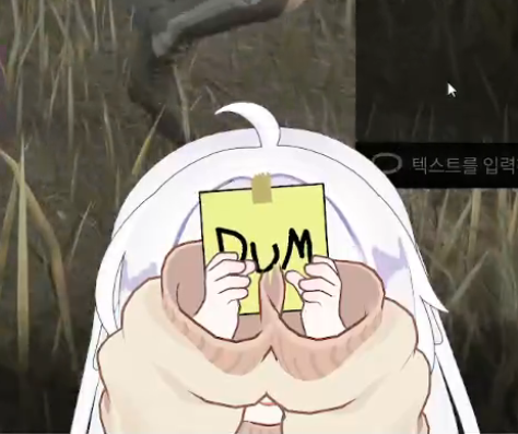 xamWso