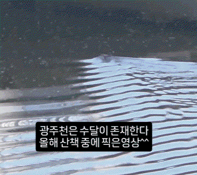 xbINaN.gif
