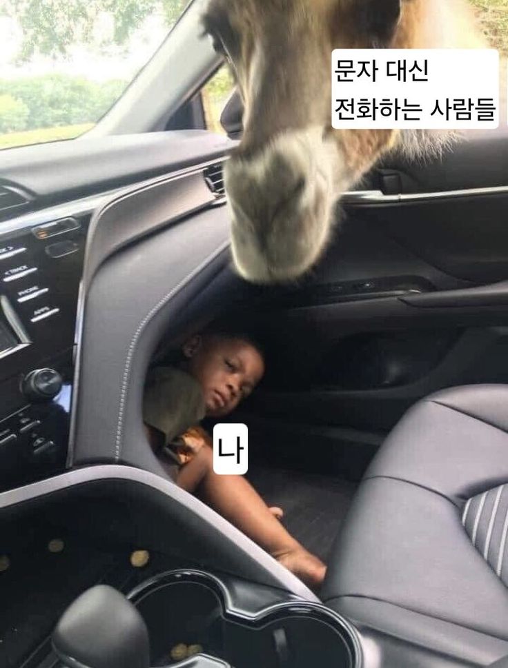xcnPwv
