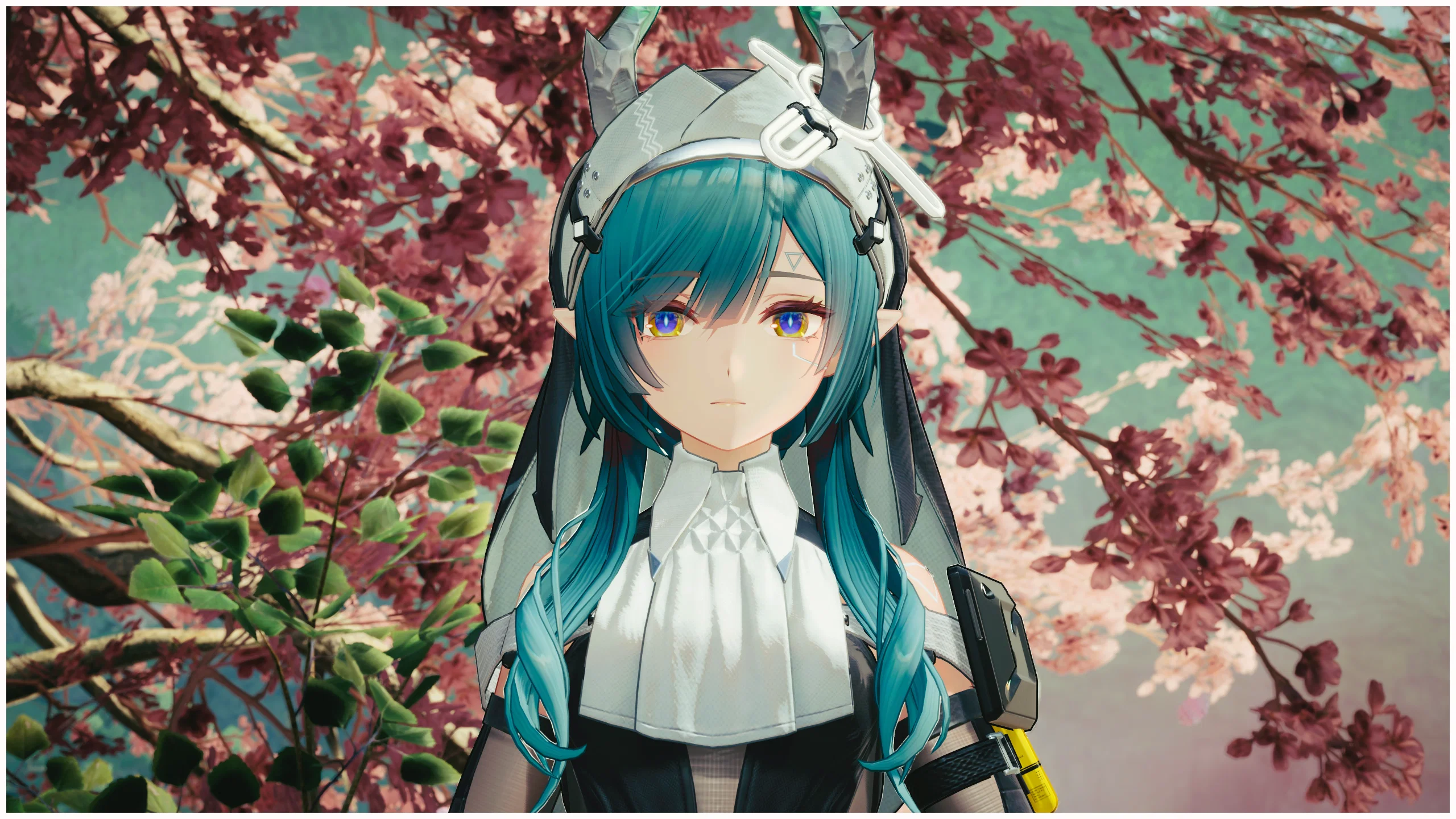 xdBcOV