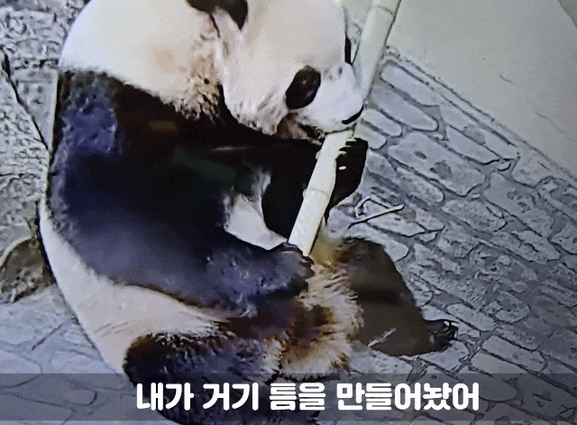 xdcgkI.gif