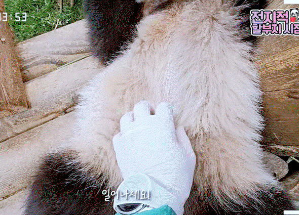 xdyWXz.gif