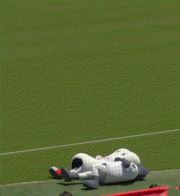 xeFtRr.gif