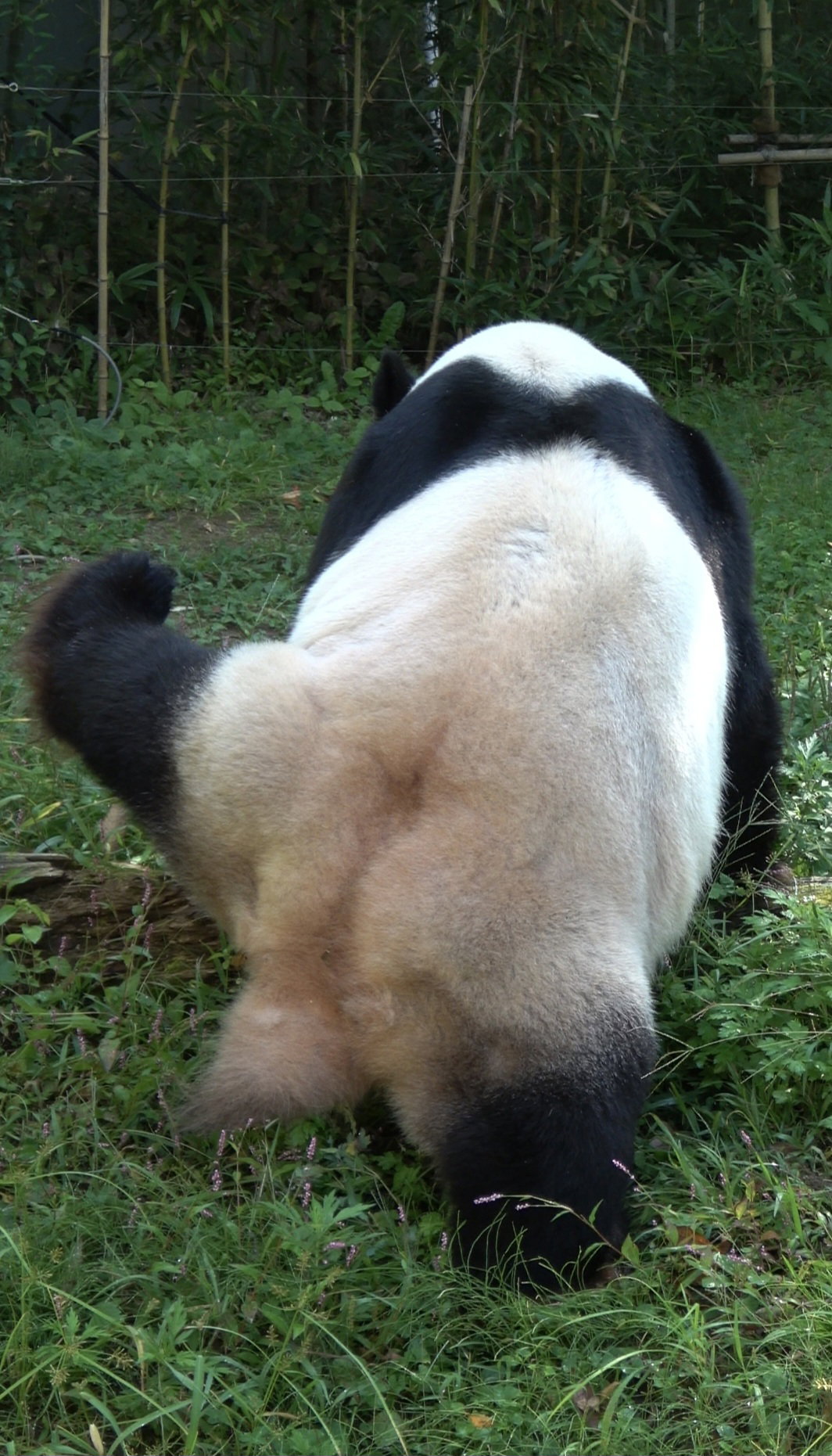 xeTGXU