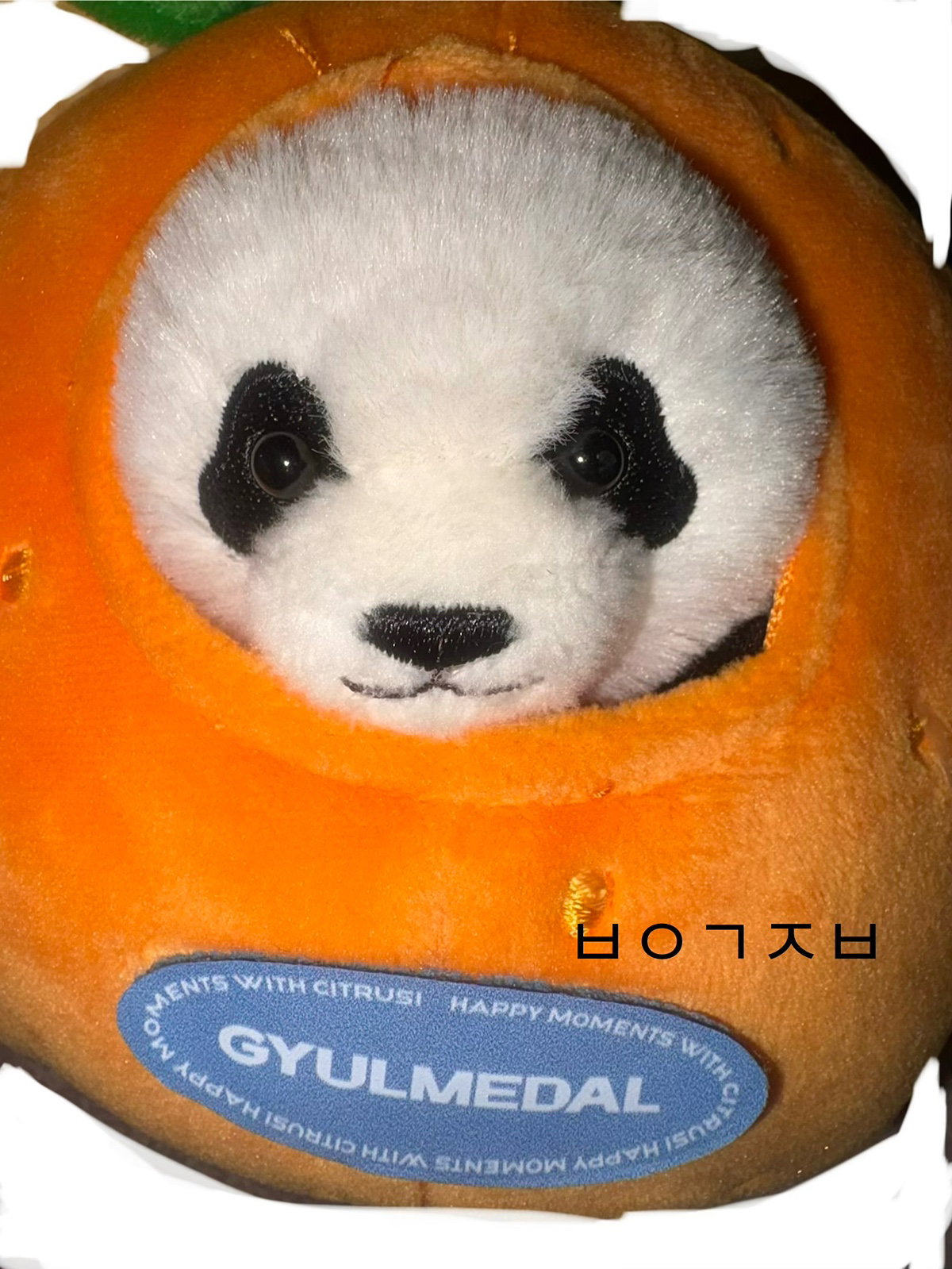 xhfOPI