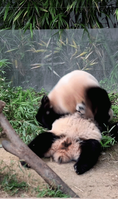 xiOUxq.gif