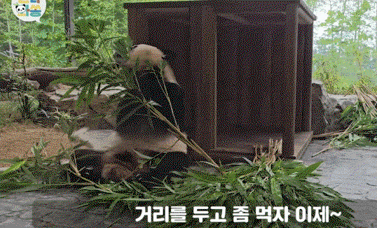 xioXjJ.gif