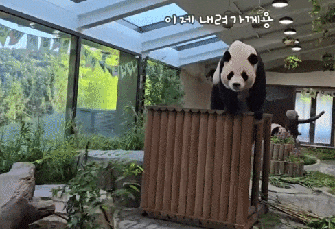 xjHxTl.gif