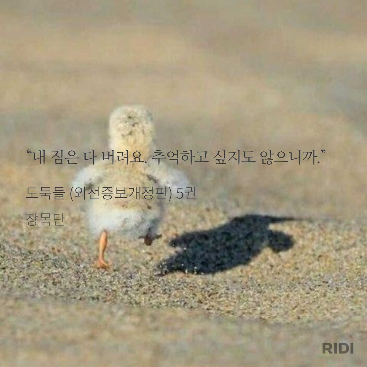 xkjsdh