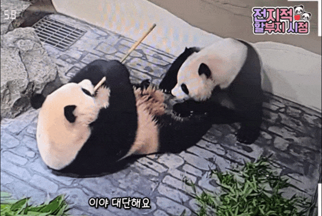 xkxtLw.gif