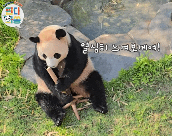 xlrhWY.gif