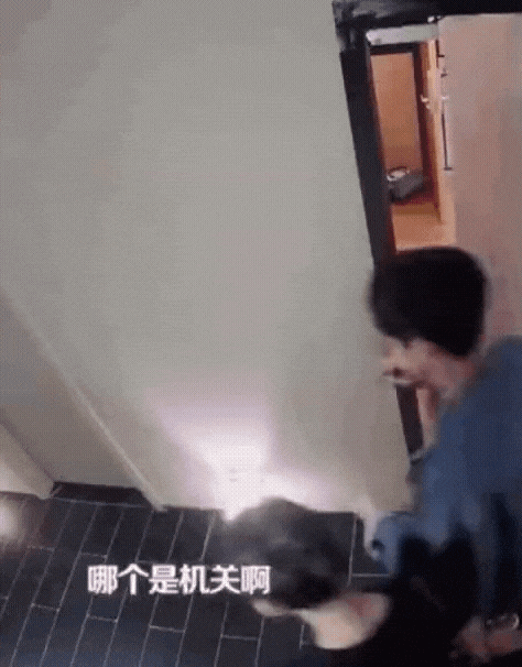 xsnMRf.gif