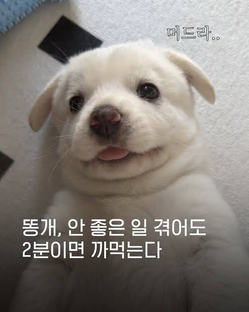 xtJFLt