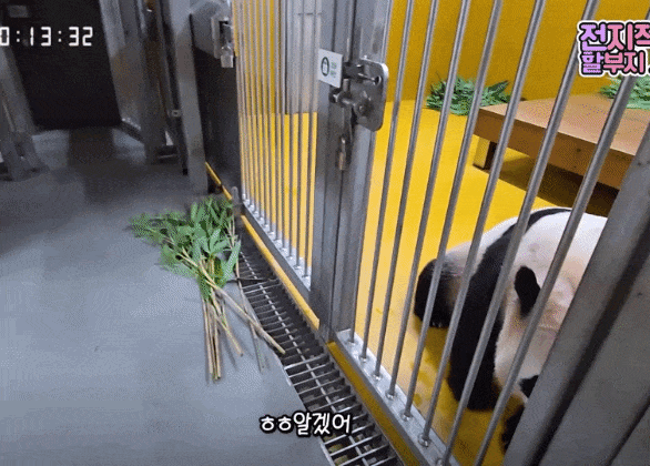 xtdqKg.gif