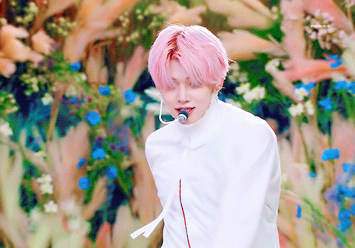 xvsbQr.gif
