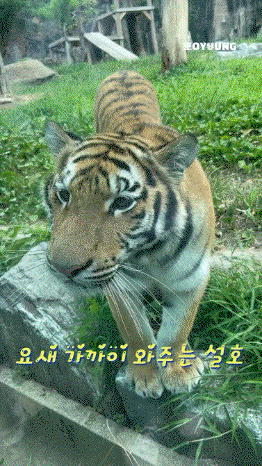 xxNuFE.gif