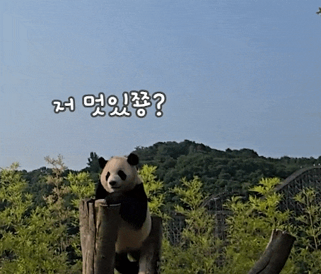 xyaVYI.gif