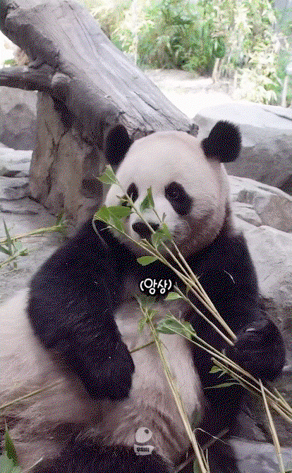 xyjQdh.gif