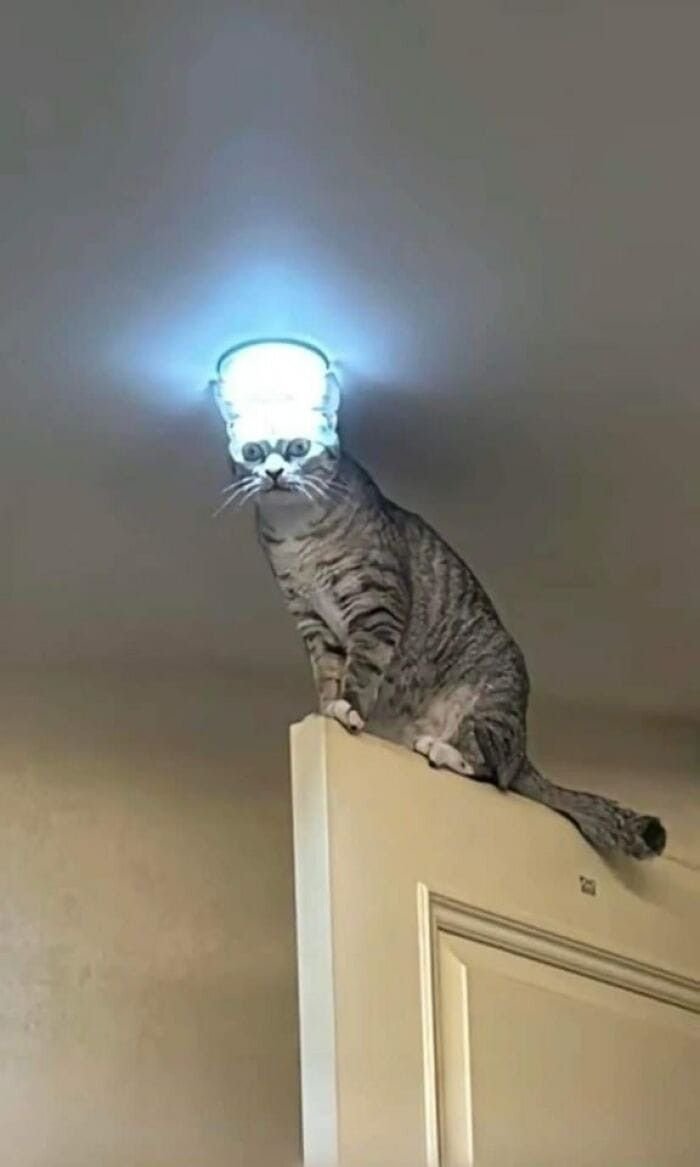 xzoKTo