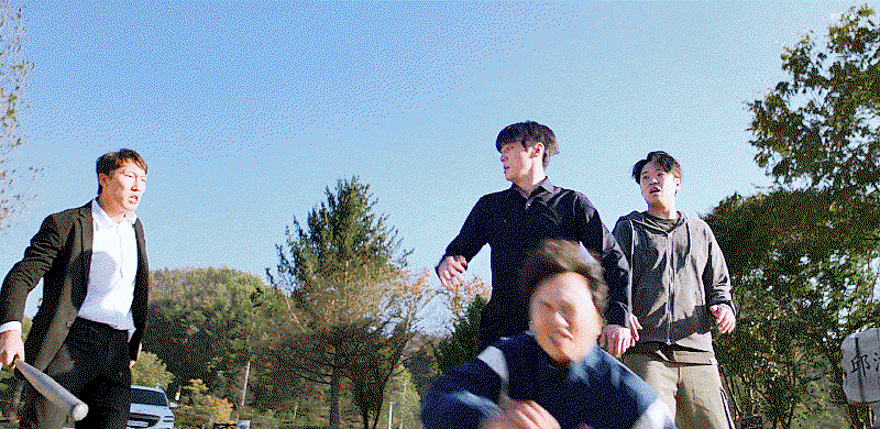 yALMip.gif
