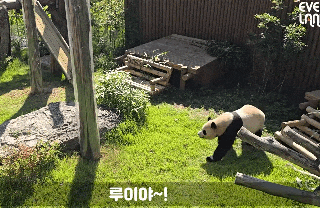 yAquij.gif