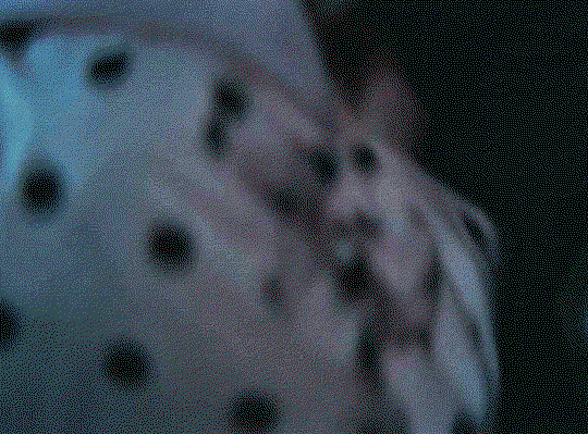 yCIbqt.gif