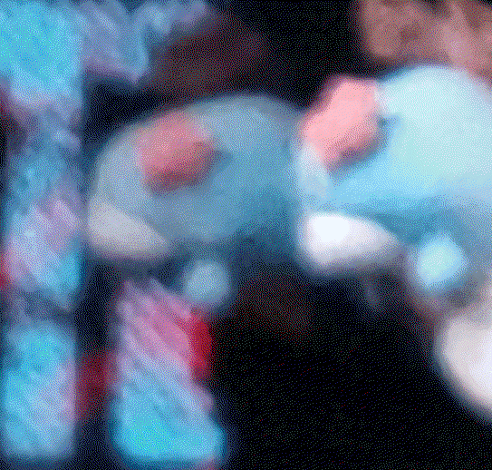yCjCyX.gif